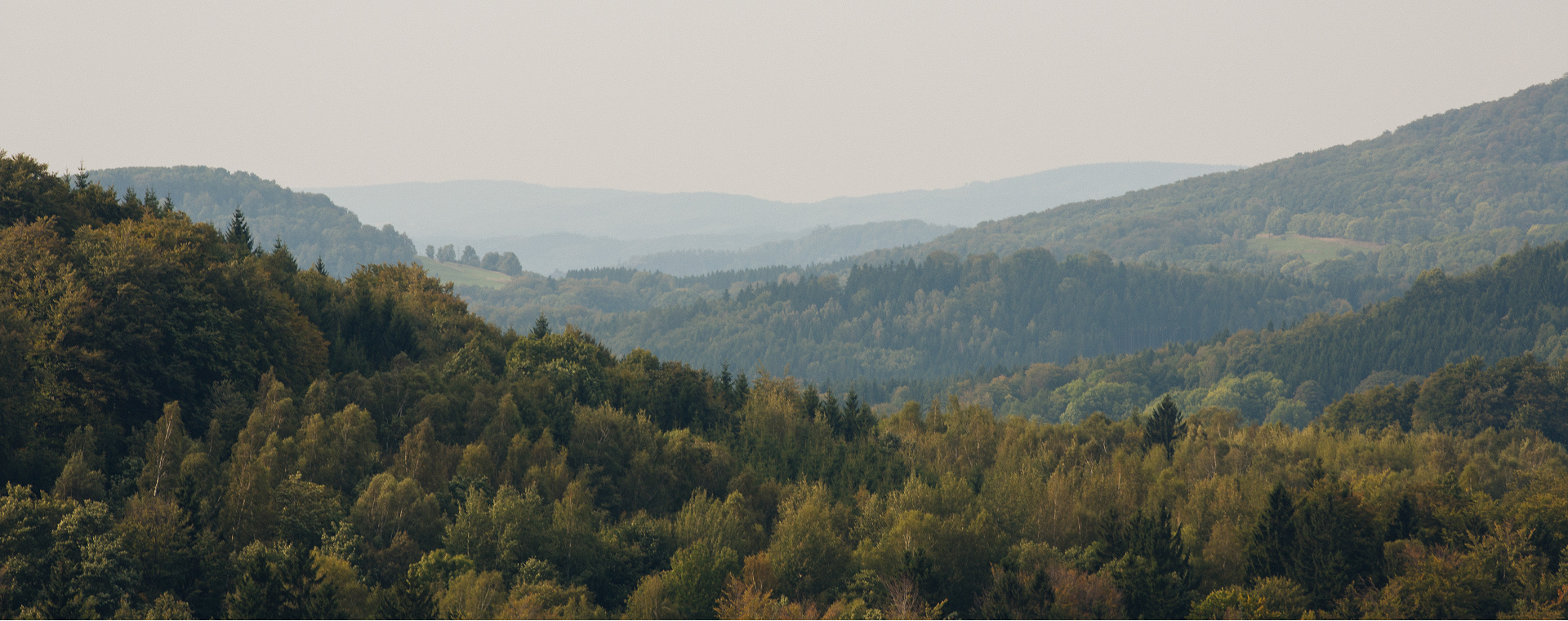 Crystal Valley